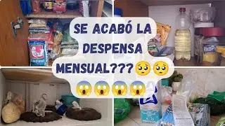 😱Se acabó la despensa mensual ?? Compras en bodeguita 🥑🍏🥬