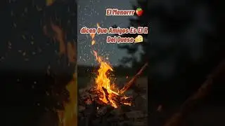 AMIGO ES EL RATON DEL QUESO