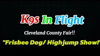 K9s In Flight 