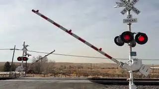 Full Day Railfanning BNSF's Cajon Subdivision! (12/14/24)