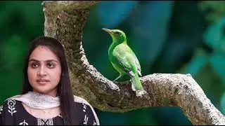 Siragdikka Aasai Serial 19th to 21st January 2026 Review | Shruthi Super Plan Reveal Review