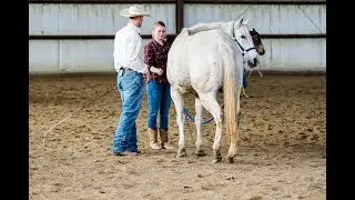 Jeremy Watt: Horsemanship Clinic: Jeremy Watt Horsemanship Academy