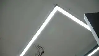 Tom Fug Live Stream