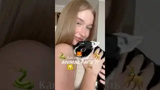 КОРЕЙСКИЙ ТЕСТ НА ANIMAL FACE 🦊