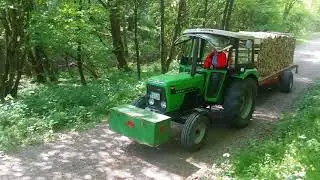 Deutz 5207 mit Brennholz am Berg