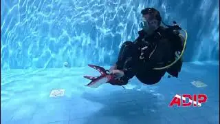 ADIP 03 Ludion adv BCD recomand&eacute; par Esox Diving