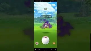 Pokemon Go ULTRA RARE SHADOW LATIAS ✨️
