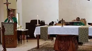 XIV Domingo d Tiempo Ordinario Nuestra Se&ntilde;ora Reina del Cielo North Lauderdale, Fl. 07/05/2020