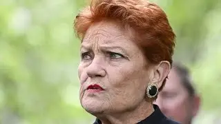 ‘Get your act together’: Hanson comes for Labor after ranking high in Newspoll