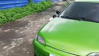 Project Honda Civic EG8, from forest green to Golden Ultimate Green