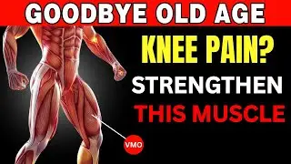 Over 50? Strengthen Your Knees With These 4 Powerful VMO Quad Exercises | Senior Strength