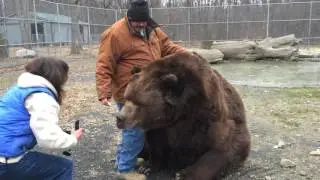VIDEO: Bear sanctuary in Otisville