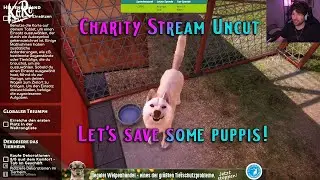 Charity Stream Uncut: Gemeinsam gegen Tierleid &ndash; Let&rsquo;s save some puppis!