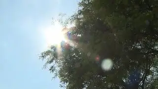 Heat Hazards