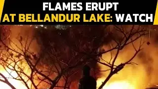 Bengaluru: Fire breaks out at Bellandur lake, fire personnel rush to the spot| Oneindia News