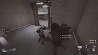 Why you dont team on stella