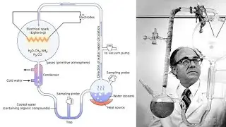Miller and Urey&rsquo;s Experiment |Evolution ||Class 12 Biology | #neet #biology #csirnet #evolution  
