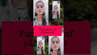 #viralvideo🤔🤔#functionofplatelets#platelets#physiology#mbbsviva#bloodplatelets#bloodclottingfactors