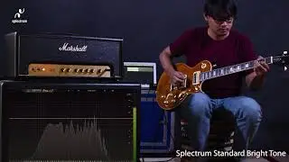 Splectrum Standard Bright vs Warm Tone