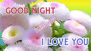 Good Night Status GIF