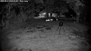 Animal Watch - 8/14/25 am