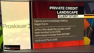 There is No End in Sight for the Private Credit Boom: Proskauer's Boyko