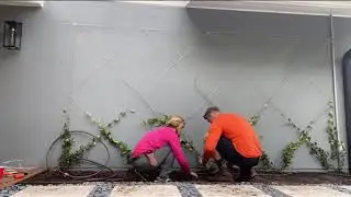 HOW TO BUILD A LIVING PLANT WALL 💎