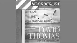 David Thomas & the Pedestrians Live (audio) @ Noorderligt Tilburg Netherlands 1984