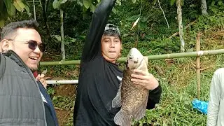 REKOR !!! Ahirnya Monster guramenya terangkat