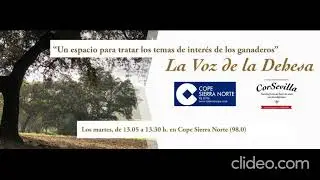 La Voz de la Dehesa 9x3.- Tomás Rodríguez, INTEROVIC - Exportación de lana (14.10.2025)