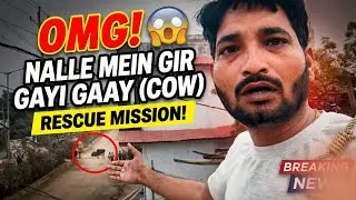 OMG! 😱 Nalle mein gir gayi Gaay (Cow) | Rescue Mission!
