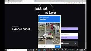 Evmos Name Service Testnet Guide