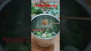 Heat Stroke Releif Drink - 1 Garmiyon Ka Somras | #summerdrink #relief #shorts #FoodieFundaeBySarika