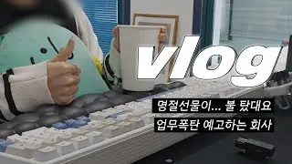 [VLOG] 직장인 브이로그｜명절선물이 있었는데 없어요.. 왜냐면 타버렸대요