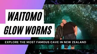 FEATURING: WAITOMO GLOW WORMS NEW ZEALAND