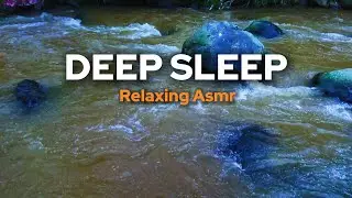 3 Hours of Tropical River Sounds 🌿 ASMR for Sleep