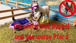 Die verbotene Koppel und das weise Pferd 