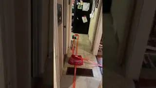 Hot Wheels Fun