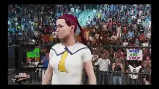 Chloe vs. Dawn vs. Bianca vs. Hilda in a Steel Cage Match