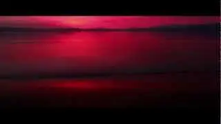 Spector | Enjoy It While It Lasts (Album Trailer)