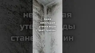 Качественная гидроизоляция в Черногории &ndash; не роскошь, а необходимость