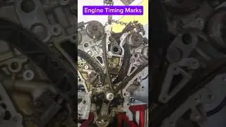 Kia Carnival Engine Timing Marks.#automobile #timing #engine #shortsvideo #@AutoMechanic88