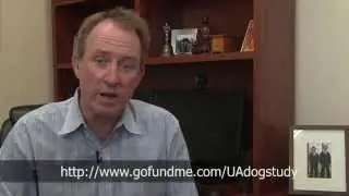 UADogStudyInfoVideo