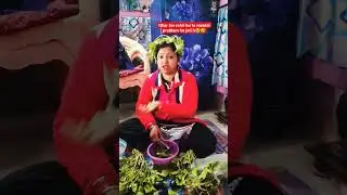 kr bahar financial problem ho jati h😭🤣 #shorts #viral #funny #youtubeshorts #comedy