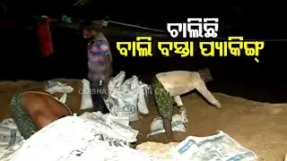 Balasore flood: Villagers work throughout the night to save embankments