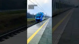 Mijanka Newag IMPULS i Pesa ELF na stacji Poraj - pociąg osobowy | listopad 2022