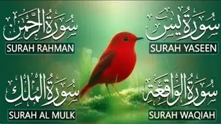 Surah Yaseen (Yasin) | Surah Rahman | Surah Waqiah | Surah Mulk | Sheikh Abdul Rahman Al  Sudais 