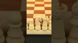 Your New Favorite Chess Set from HoldenArt Review! #shorts