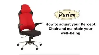 Percept High back Red CEO/Director Office Chair | Features & Adjustment Guide of Ergonomic Chair