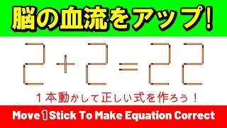 【シニアの習慣】脳の血流をアップさせる！ルーティン脳トレ｜マッチ棒パズル｜脳トレ｜脳活｜2+2=22